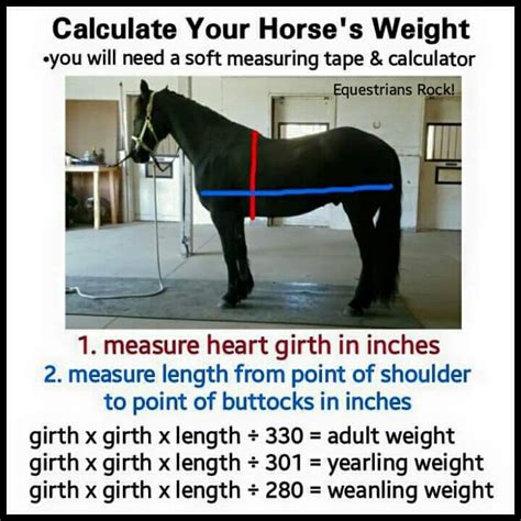 how to estimate horse weight.